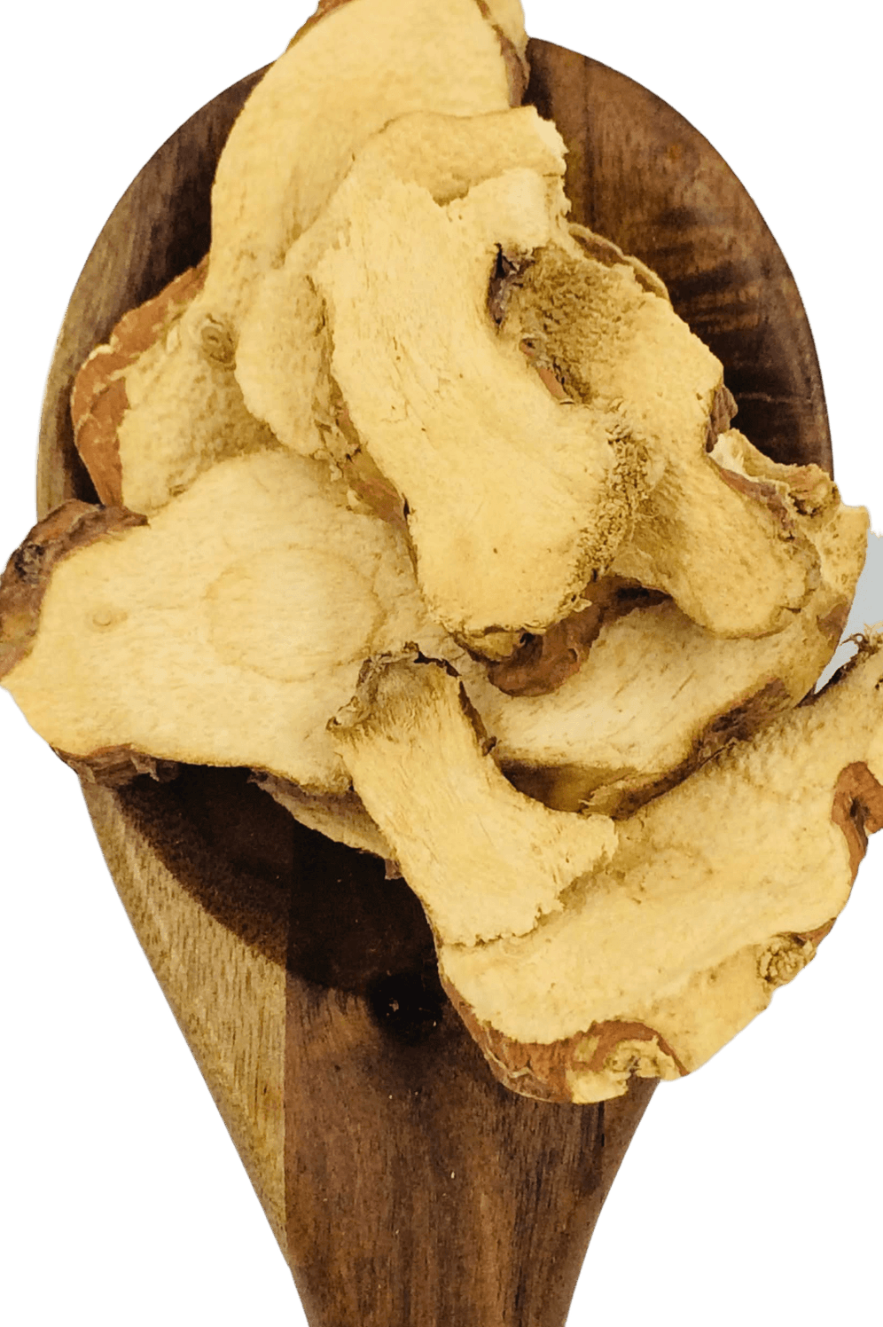 Galangal Slices from Spice & Dipity, a premium seasoning and spice product for flavour-packed home cooking.