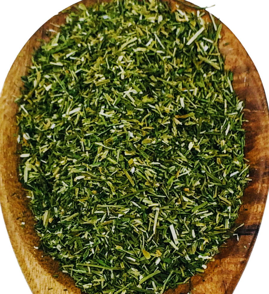 Dill Herb