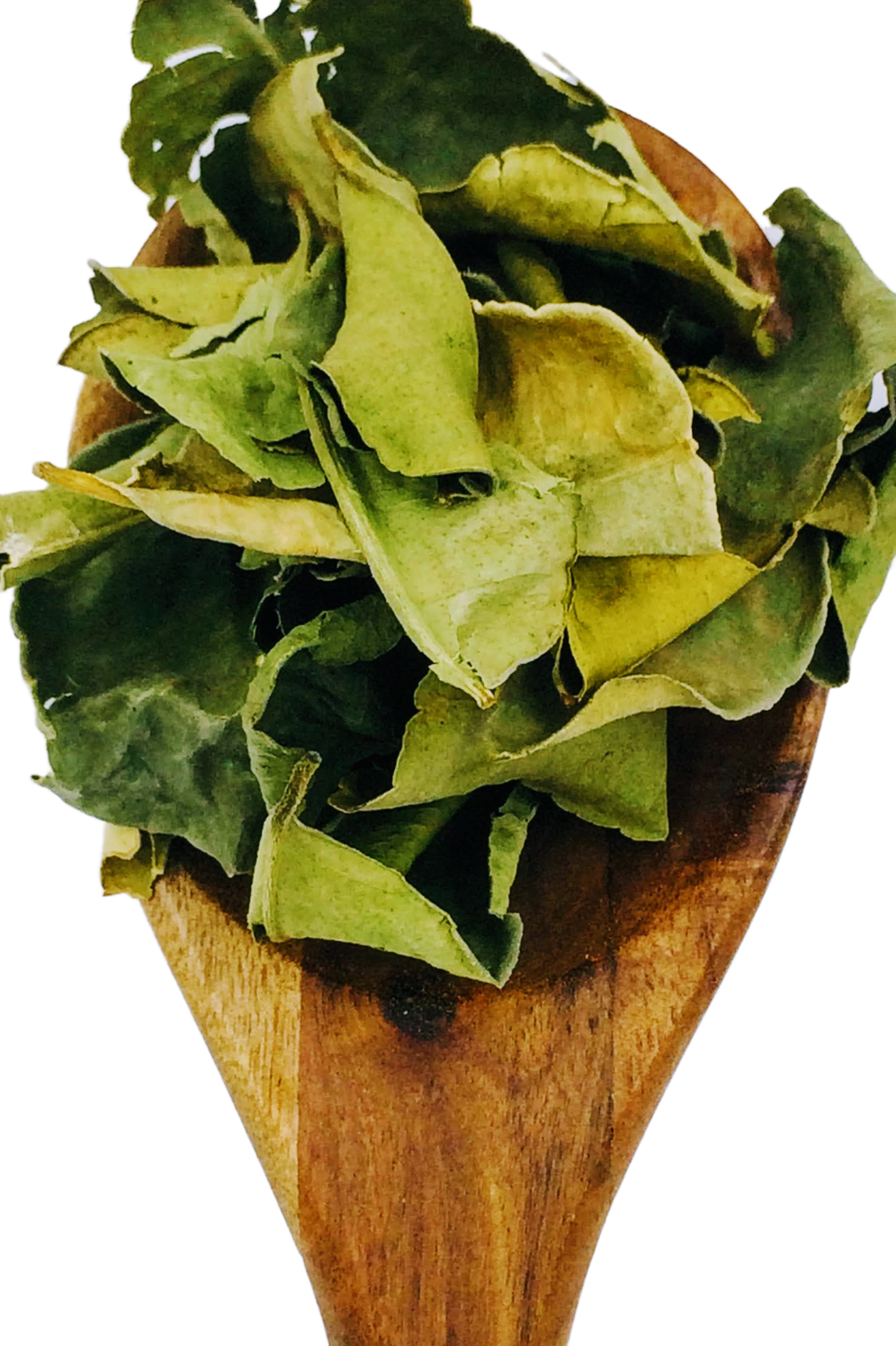 Kaffir Lime Leaves from Spice & Dipity, a premium seasoning and spice product for flavour-packed home cooking.