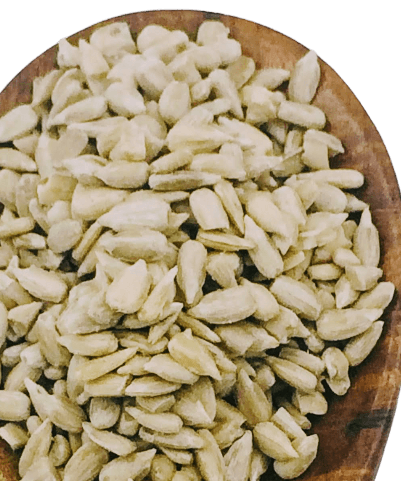 Sunflower Seeds