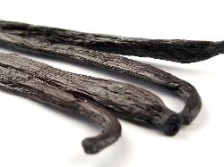 Vanilla Pods from Spice & Dipity, a premium seasoning and spice product for flavour-packed home cooking.