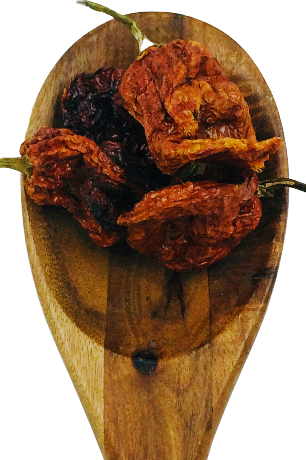 Chilli Trinidad Scorpion from Spice & Dipity, a premium seasoning and spice product for flavour-packed home cooking.