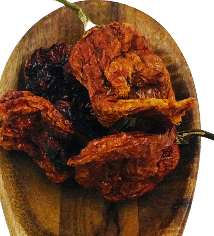 Chilli Trinidad Scorpion