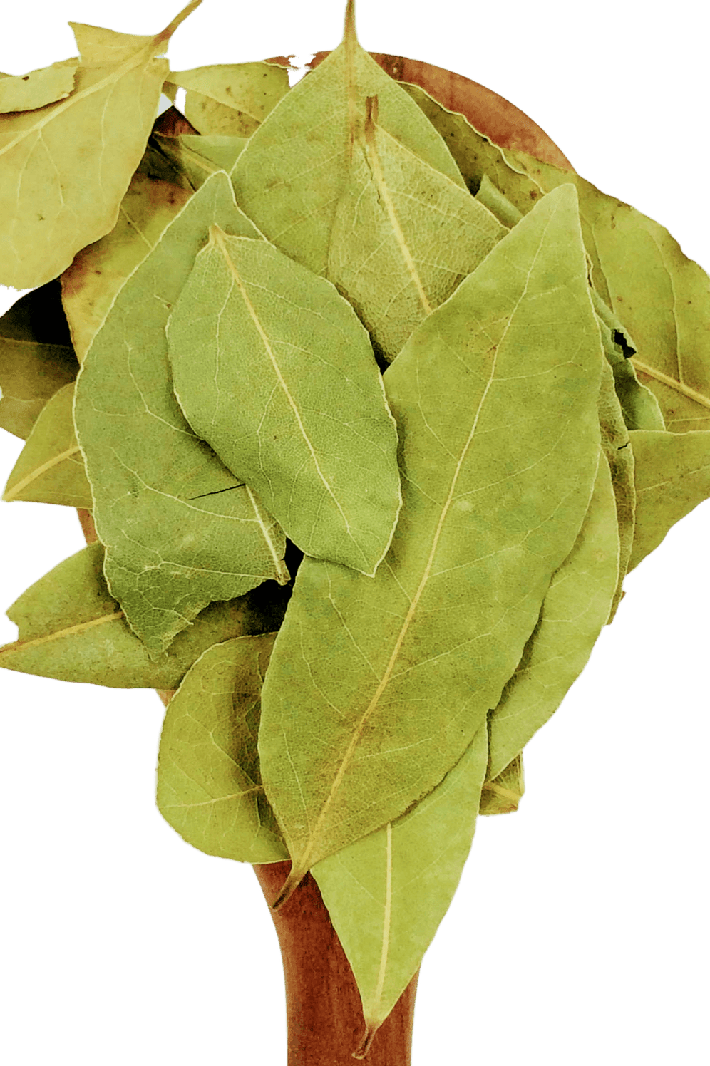 Bay Leaf from Spice & Dipity, a premium seasoning and spice product for flavour-packed home cooking.