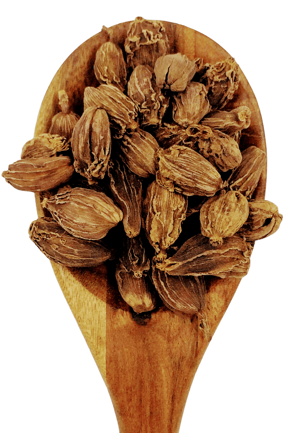 Cardamom Black Pods from Spice & Dipity, a premium seasoning and spice product for flavour-packed home cooking.
