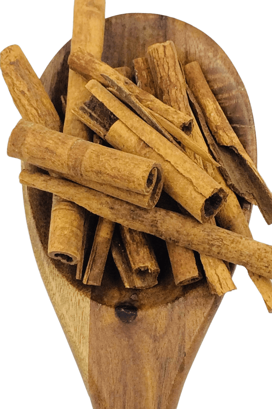 Cassia Bark from Spice & Dipity, a premium seasoning and spice product for flavour-packed home cooking.