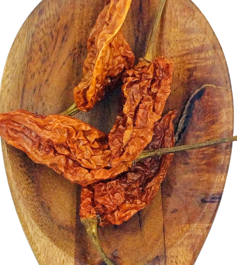 Chilli Bhut Jolokia