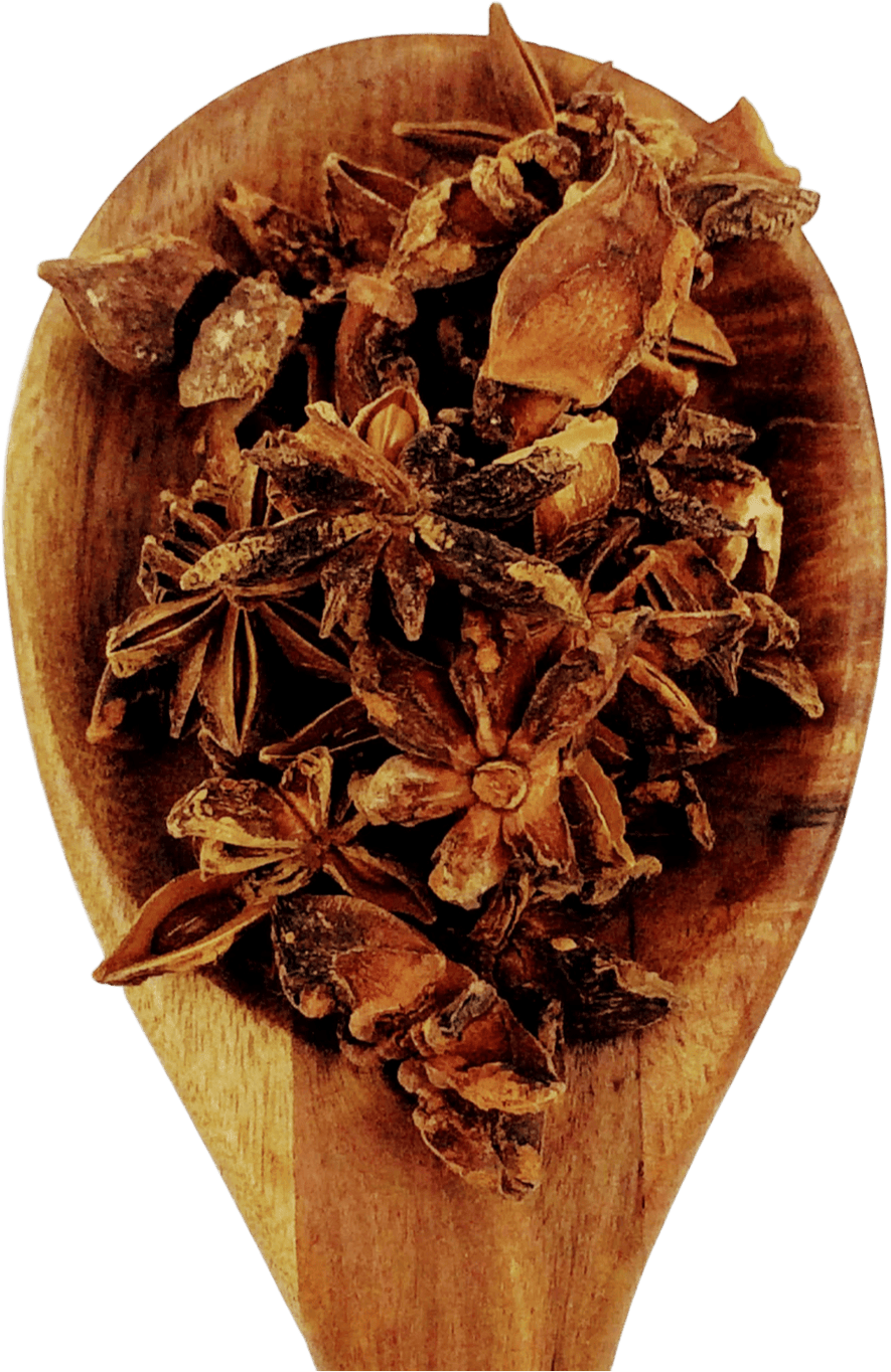 China Star Anise from Spice & Dipity, a premium seasoning and spice product for flavour-packed home cooking.