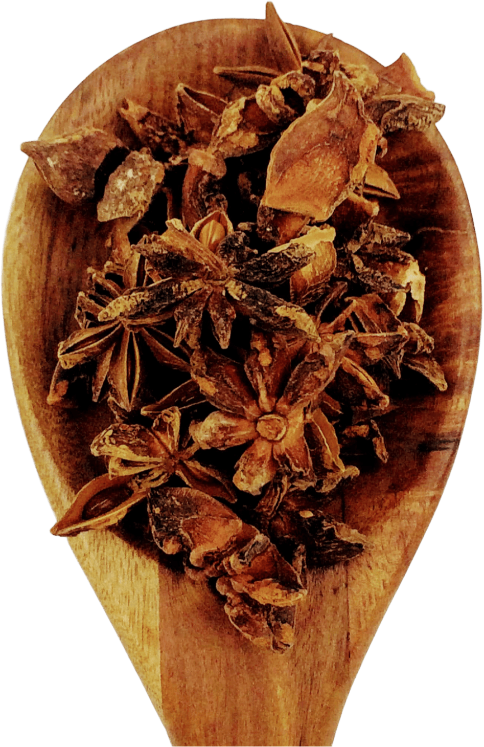 China Star Anise from Spice & Dipity, a premium seasoning and spice product for flavour-packed home cooking.