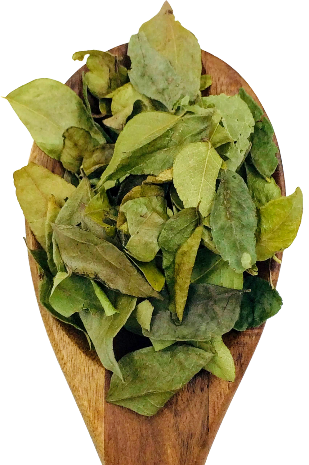 Curry Leaves from Spice & Dipity, a premium seasoning and spice product for flavour-packed home cooking.