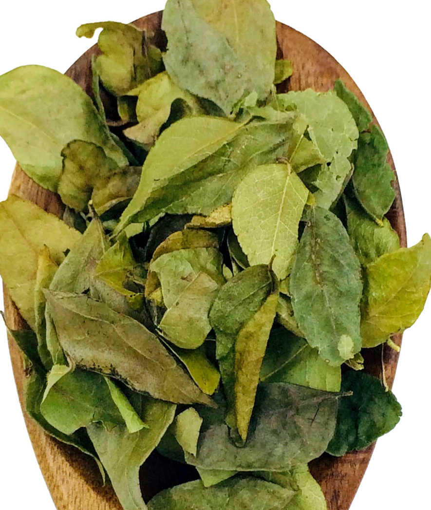 Curry Leaves