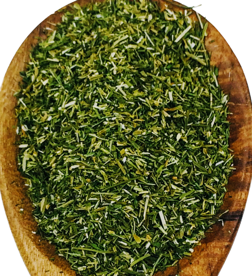 Dill Herb