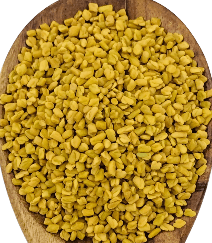 Fenugreek Seed