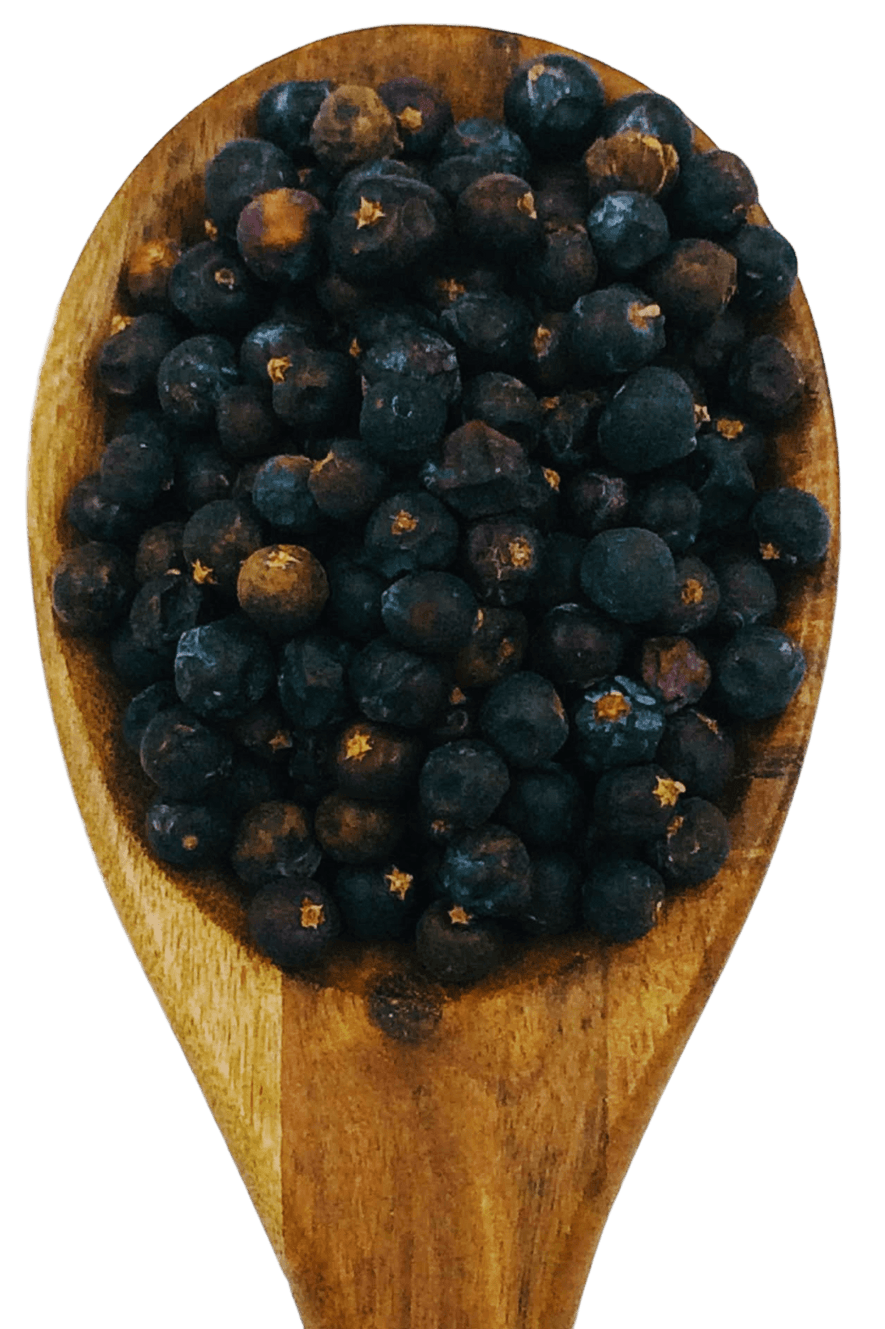 Juniper Berries from Spice & Dipity, a premium seasoning and spice product for flavour-packed home cooking.