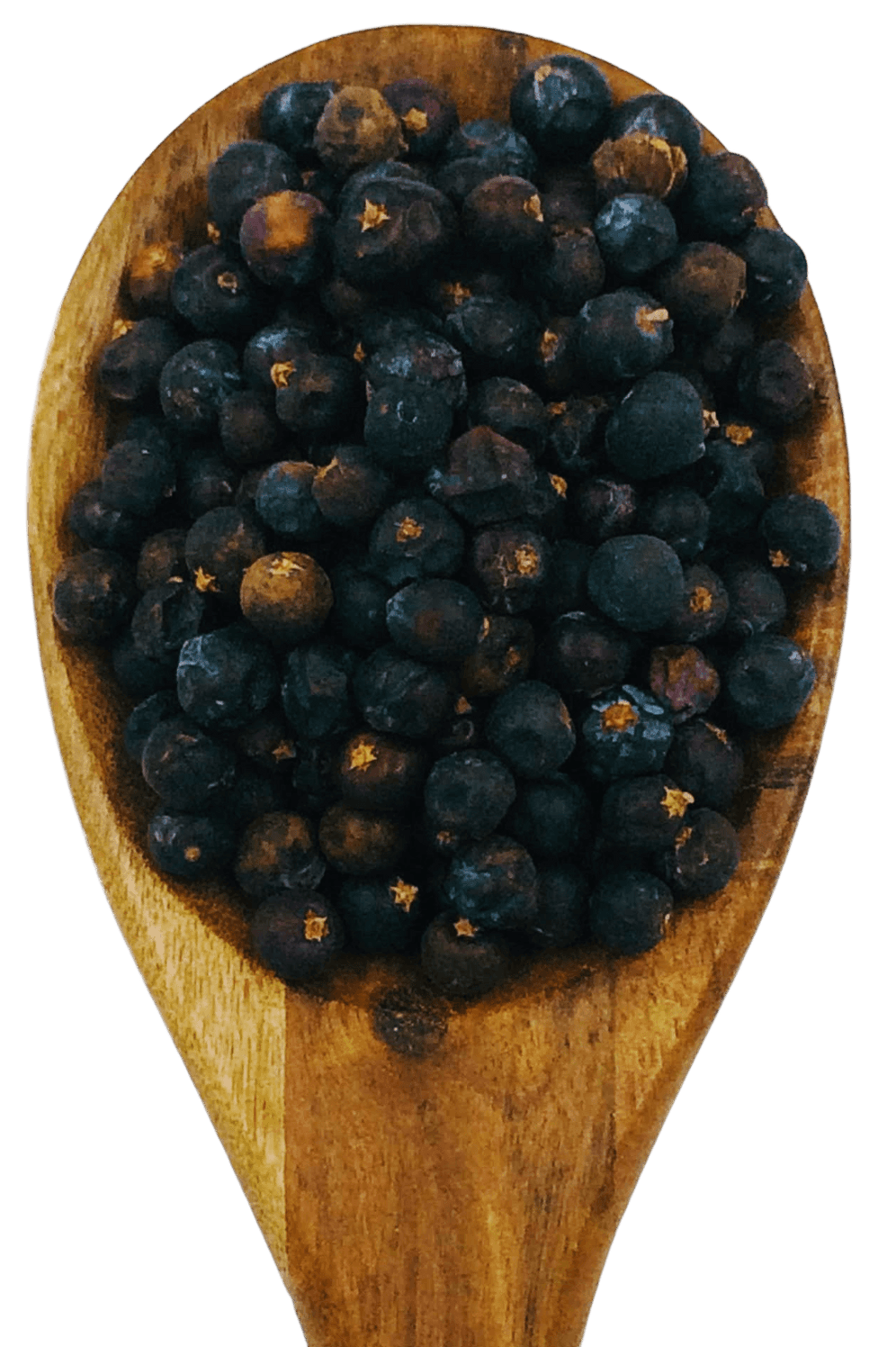 Juniper Berries from Spice & Dipity, a premium seasoning and spice product for flavour-packed home cooking.
