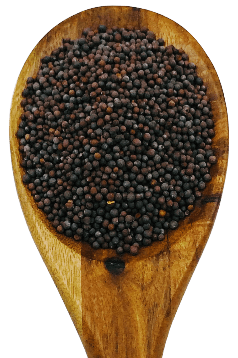 Mustard Seed Brown from Spice & Dipity, a premium seasoning and spice product for flavour-packed home cooking.