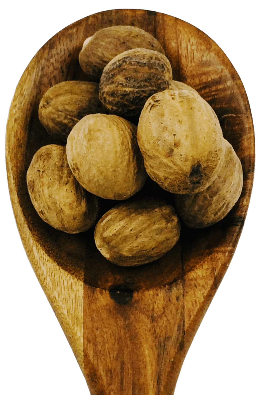Nutmeg from Spice & Dipity, a premium seasoning and spice product for flavour-packed home cooking.