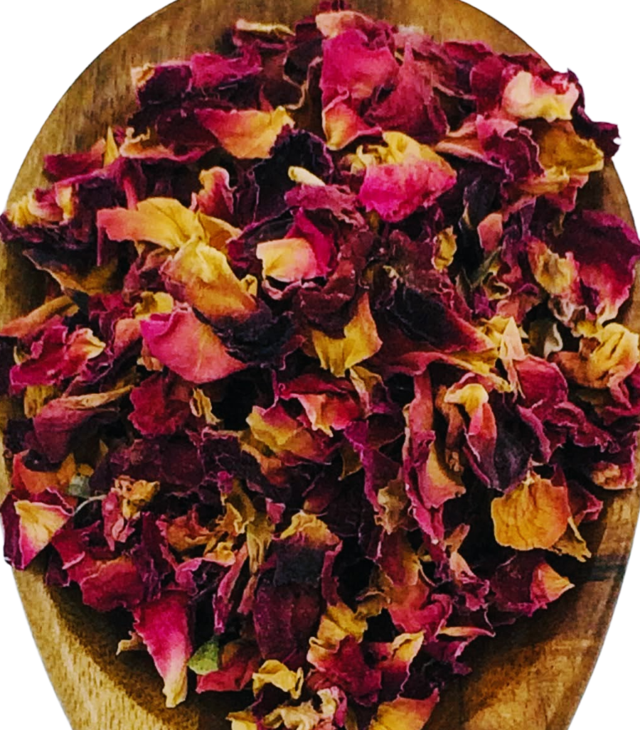 Rose Petal